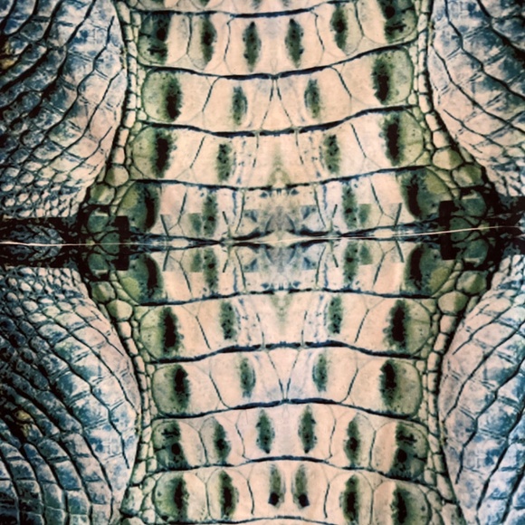 Citi Life Reptile Print Tee Shirt Top - Picture 2 of 6